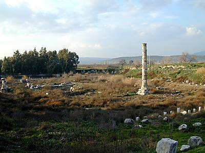 Ephesus Temple of Artemis ruins