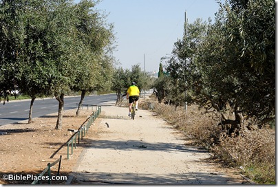 Bicyclist on road of patriarchs, tb111106873