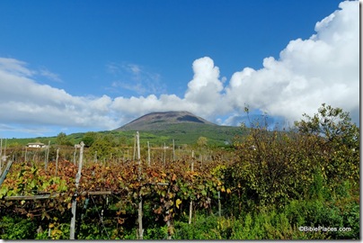 Mt Vesuvius from south, tb111705547ddd