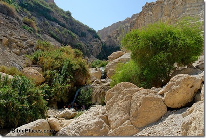 En_Gedi_Nahal_David_with_waterfalls,_tb052307908
