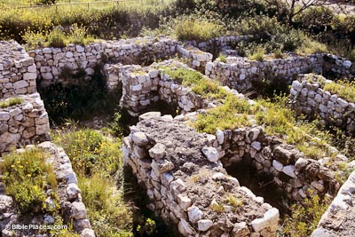 Walls made of uncut stone forming a maze of narrow spaces, partially overgrown by plants