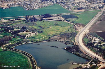 View from airplane of flat green fields and a road passing by a small body of water, with dense modern construction in the distance