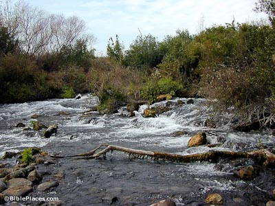 A wide, shallow, turbulent river with loose branches in it, flanked by dense foliage