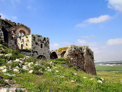 A grassy hillside with several arched stone structures that are partially overgrown by plants