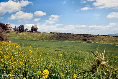 A grassy meadow with some yellow wildflowers, the ridge of a hill ascends to a domed building with some trees around it, scattered clouds are in the sky