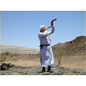 Timna priest blowing shofar, tb n052201_t