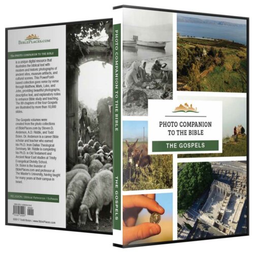 Photo Companion: The Gospels - DVD and Download