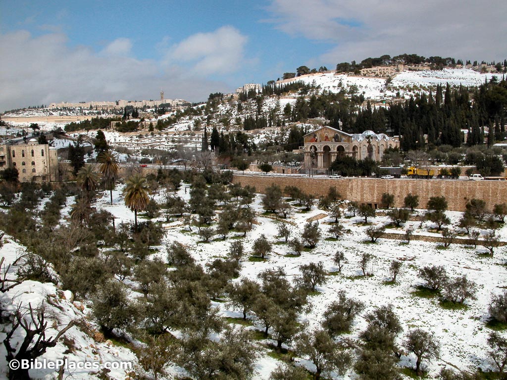 FileJerusalem Mount of olives 3862JPG  Wikimedia Commons