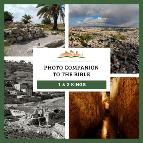 Photo Companion: 1 & 2 Kings - Download Only