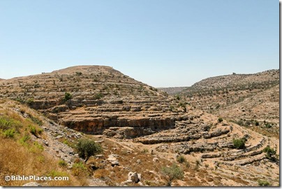 Timnath-serah, Khirbet Tibnah, from east, tb071304492
