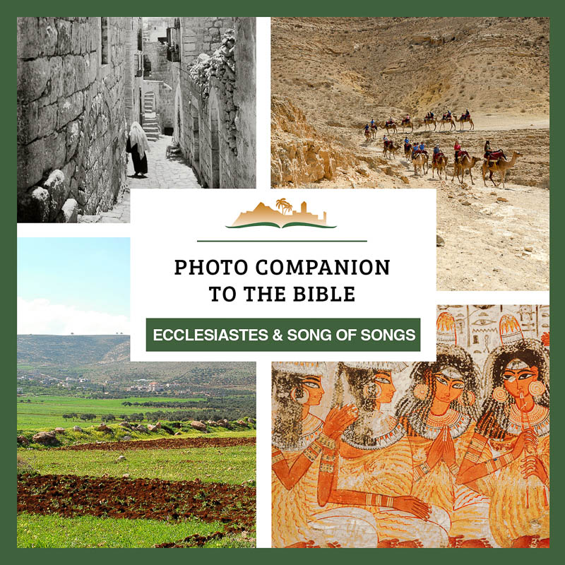 Photo Companion: Ecclesiastes and Song of Songs