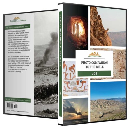 Photo Companion: Job - DVD and Download
