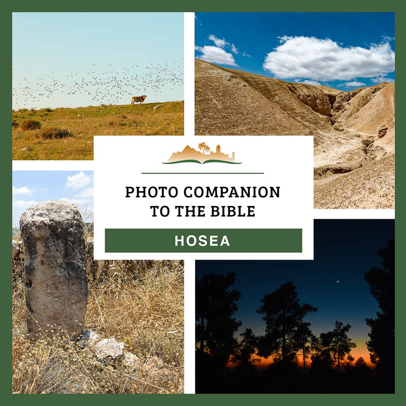 Photo Companion: Hosea
