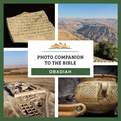 Photo Companion: Obadiah