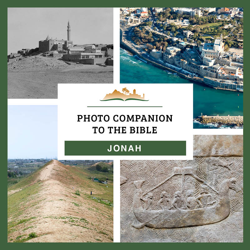Photo Companion: Jonah