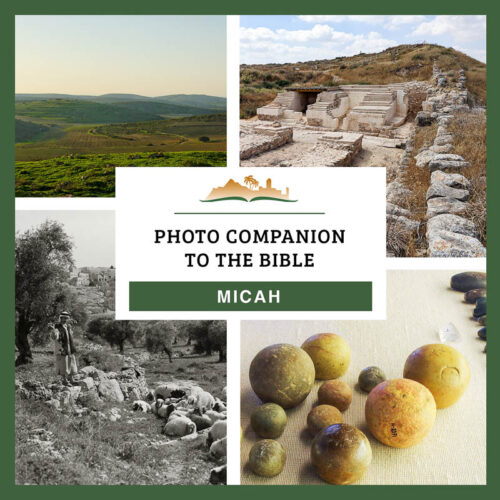 Photo Companion: Micah