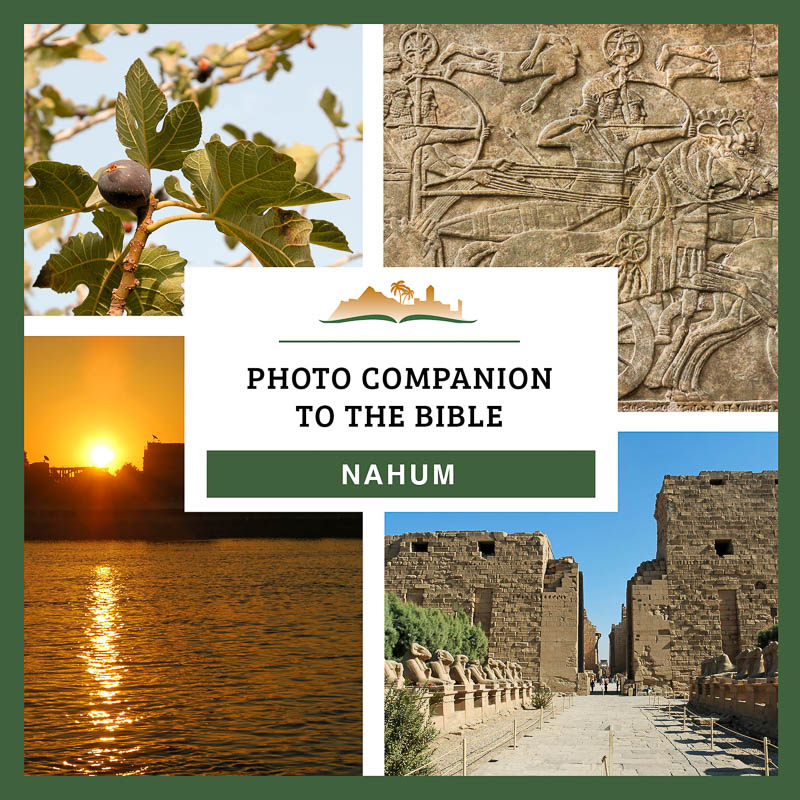 Photo Companion: Nahum