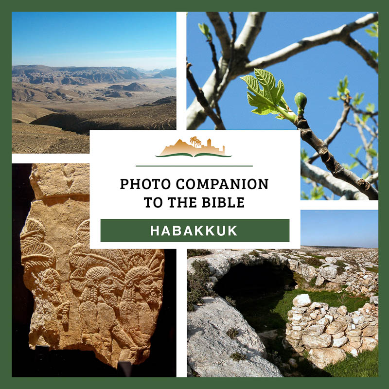Photo Companion: Habakkuk