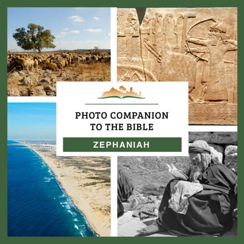 Photo Companion: Zephaniah