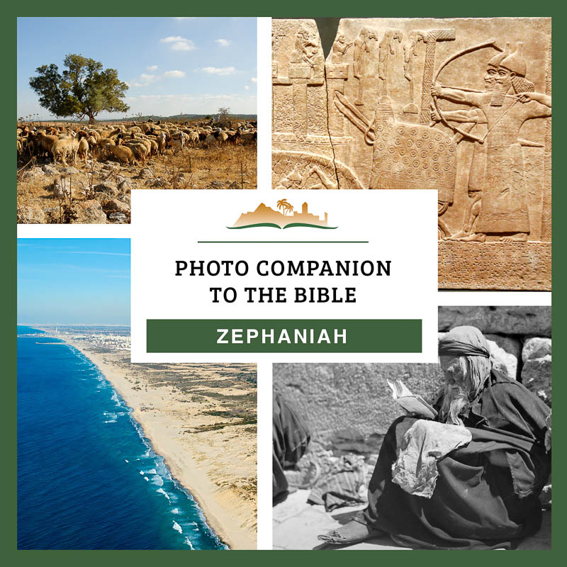 Photo Companion: Zephaniah