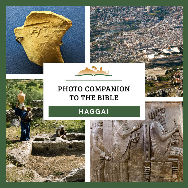 Photo Companion: Haggai