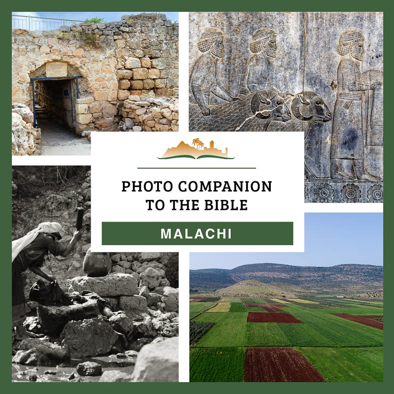 Photo Companion: Malachi