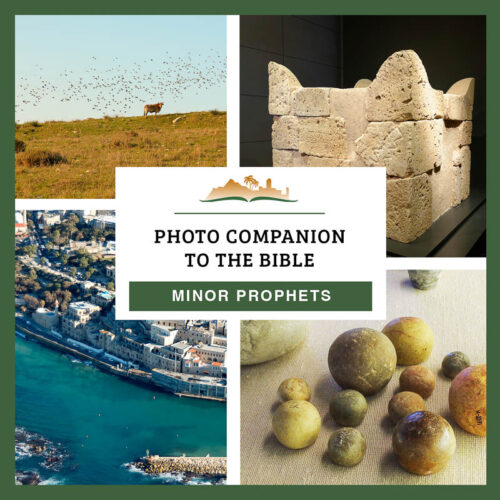 Photo Companion: Minor Prophets - DVD and Download