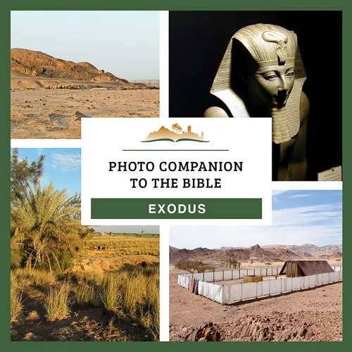 Photo Companion to Exodus Photo Companion to Exodus