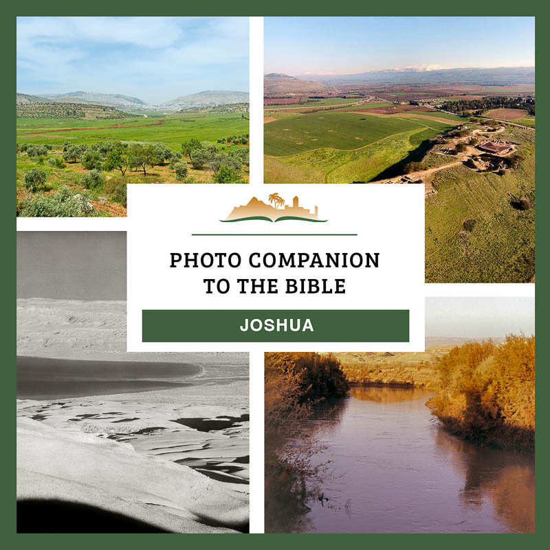 Photo Companion: Joshua