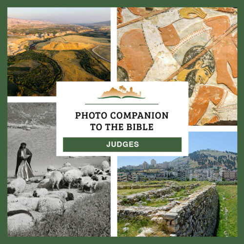 Photo Companion: Judges - Download Only