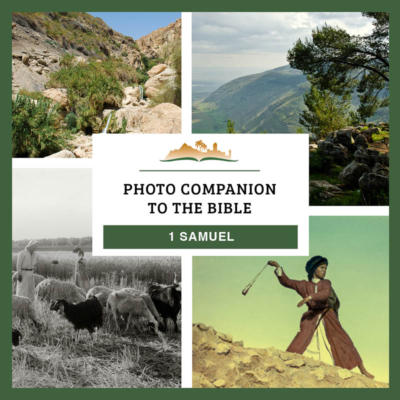 Photo Companion: 1 Samuel