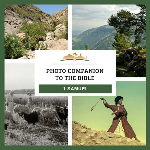 Photo Companion to 1 Samuel Photo Companion to 1 Samuel