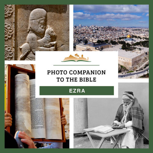 Photo Companion: Ezra - Download Only
