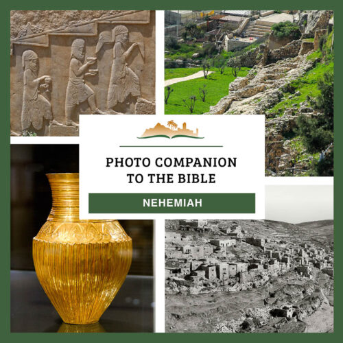 Photo Companion: Nehemiah - Download Only