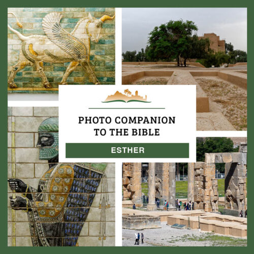 Photo Companion: Esther - Download Only