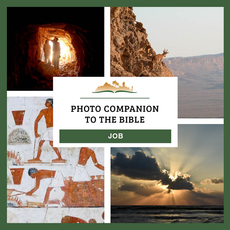 Photo Companion: Job