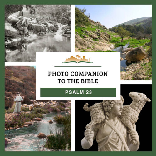 Photo Companion: Psalm 23 - Download Only