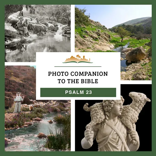 Photo Companion to Psalm 23 Photo Companion to Psalm 23