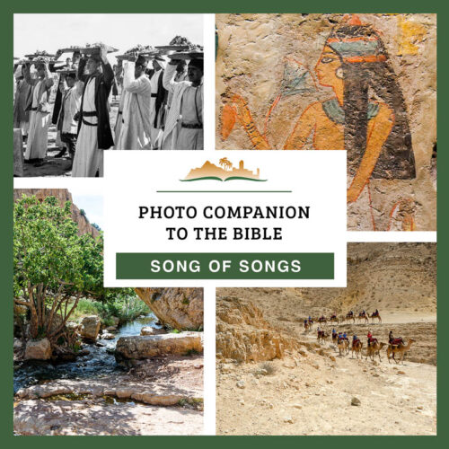 Photo Companion: Song of Songs - Download Only