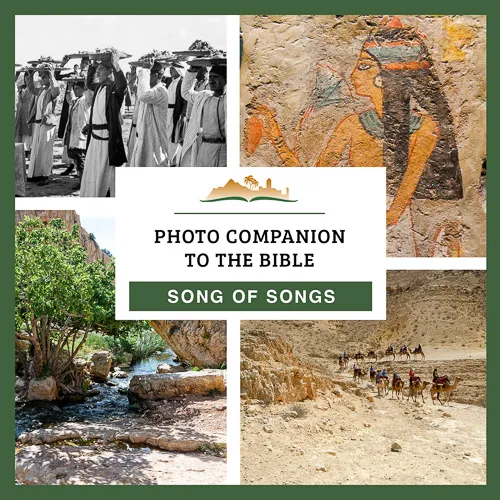 Photo Companion to Song of Songs Photo Companion to Song of Songs