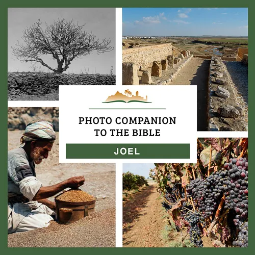 Photo Companion to Joel Photo Companion to Joel