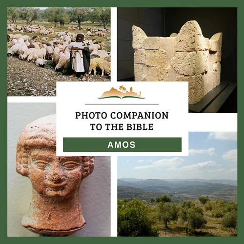 Photo Companion to Amos Photo Companion to Amos