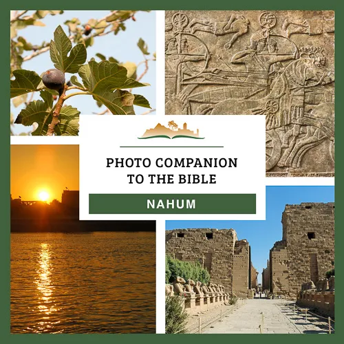 Photo Companion to Nahum Photo Companion to Nahum