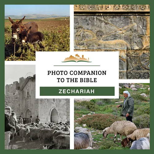 Photo Companion to Zechariah Photo Companion to Zechariah