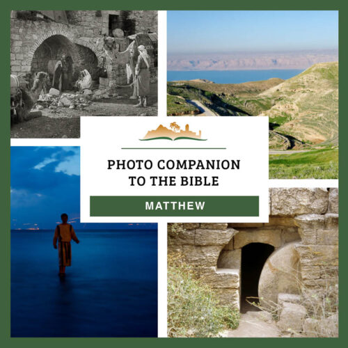 Photo Companion: Matthew - Download Only