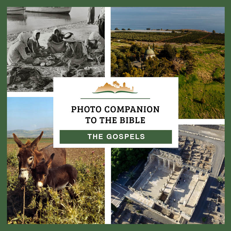 Photo Companion: The Gospels