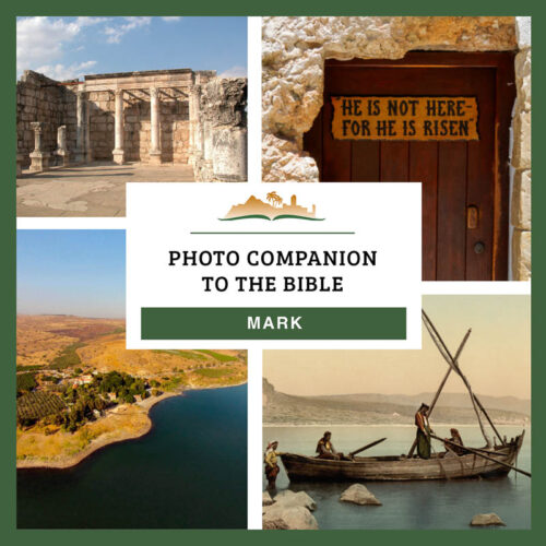 Photo Companion: Mark - Download Only