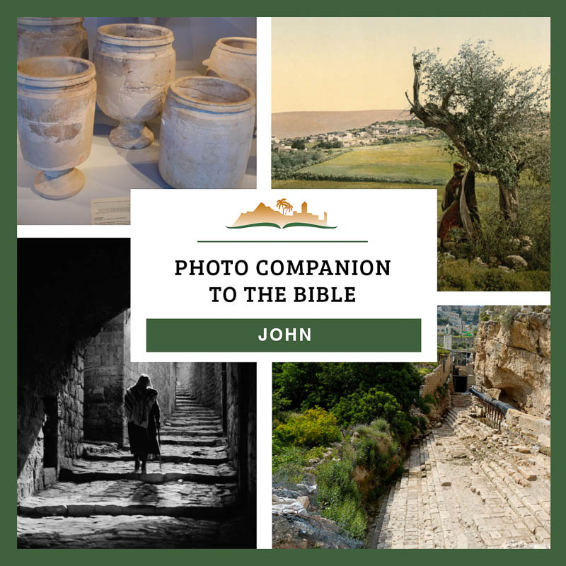 Photo Companion: John