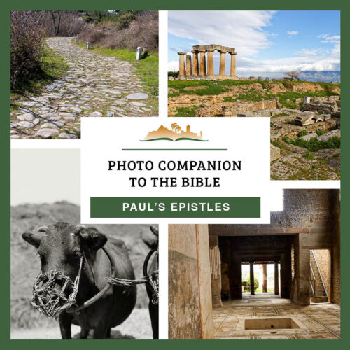 Photo Companion: Paul's Epistles - Download Only
