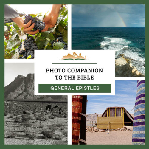 Photo Companion: General Epistles - Download Only